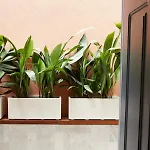 Terrace In The Heart Of * 밀라노